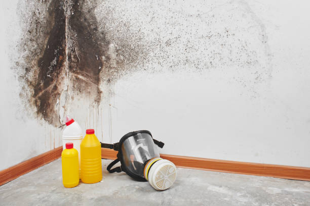 Best Crawl Space Mold Removal  in New Burlington, OH