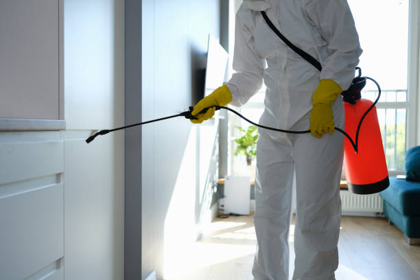 New Burlington, OH Mold Removal Company