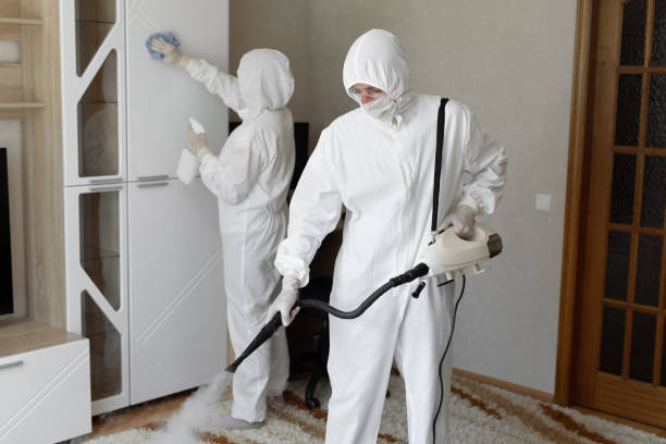 Best Professional Mold Removal  in New Burlington, OH