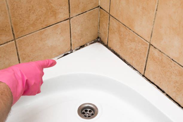 Best Residential Mold Removal  in New Burlington, OH